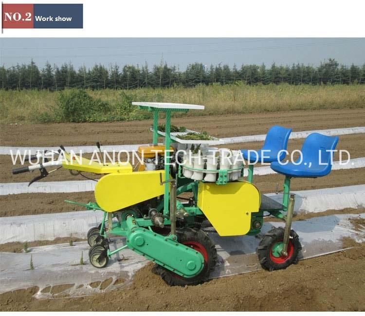 Anon Vegetable and Fruit Seedling Transfer Farm Transplant Equipment