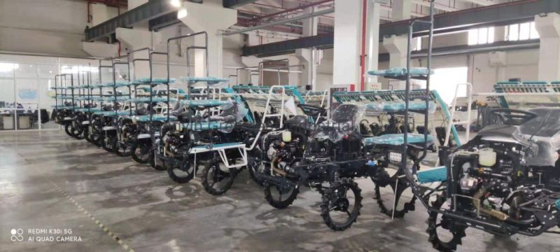 6 Rows Rice Transplanter for Paddy Field Rice Seedling Planting