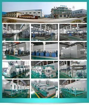 Nreasonable Price 10tph Cattle Feed Plant Turnkey Poultry Projects