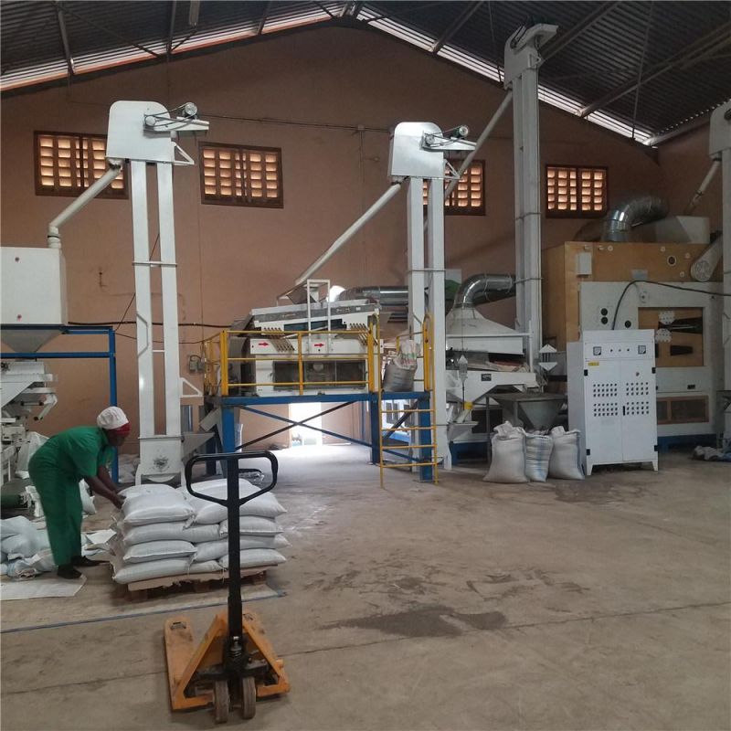 Paddy Seed Cleaning Plant Cleaning Line