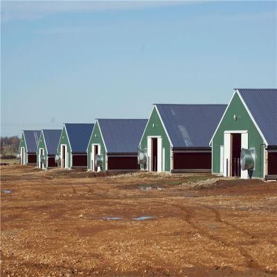Automatic Simple Type Full Automatic Chicken Coop Equipment for Chicken