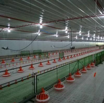 Zimbabwe Zambia Lusaka Layer Broiler Chicken Farm Poultry Raising Equipment