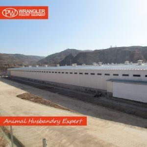 Flat Rearing Poultry Complete Farming Equipment