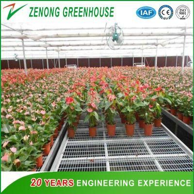 China Movable Seeding Bed for Seed Breeding of Vegetables/Flowers in Greenhouse