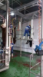 Cattle Slaughterhouse with Cattle Slaughter Equipment Machinery