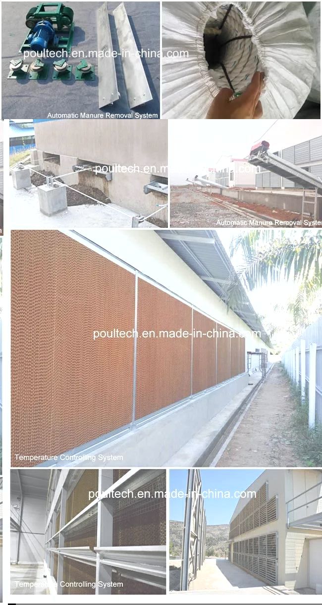 Hot Galvanized Poultry Farm Layer Cages