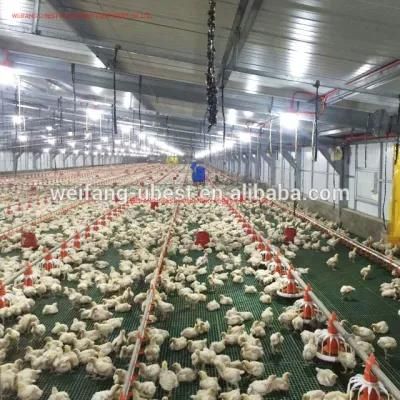 Low Price Chicken Farm Equipment Poultry Farm House Design