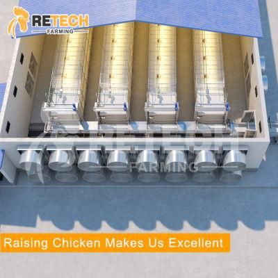 Autoamtic broiler chicken cage poultry farm equipment