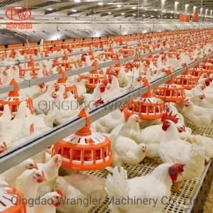 Poultry Ground Farming Automatic Chicken Farm Equipment