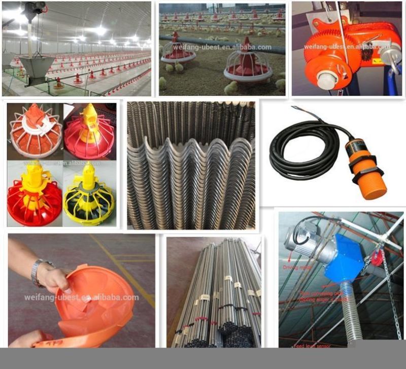Good Price Ethiopia Poultry Chicken Farm Equipment for Sale