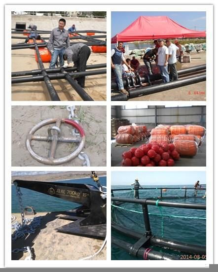 Marine and Offshore HDPE Floating Fish Farming Cage