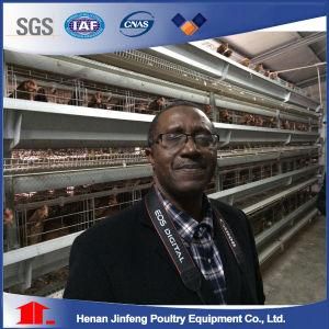 Automatic Feeding System for a H Frame Layer Broiler Cage Syetem