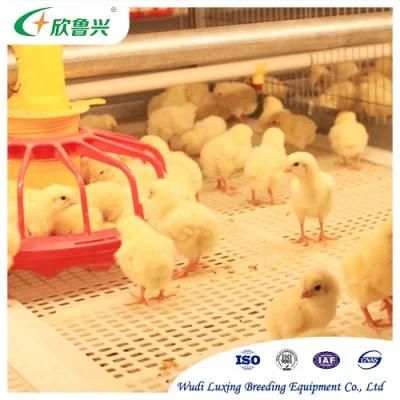 Hot Sale H Type Price Chicken Cage for Day Old Baby Chicks