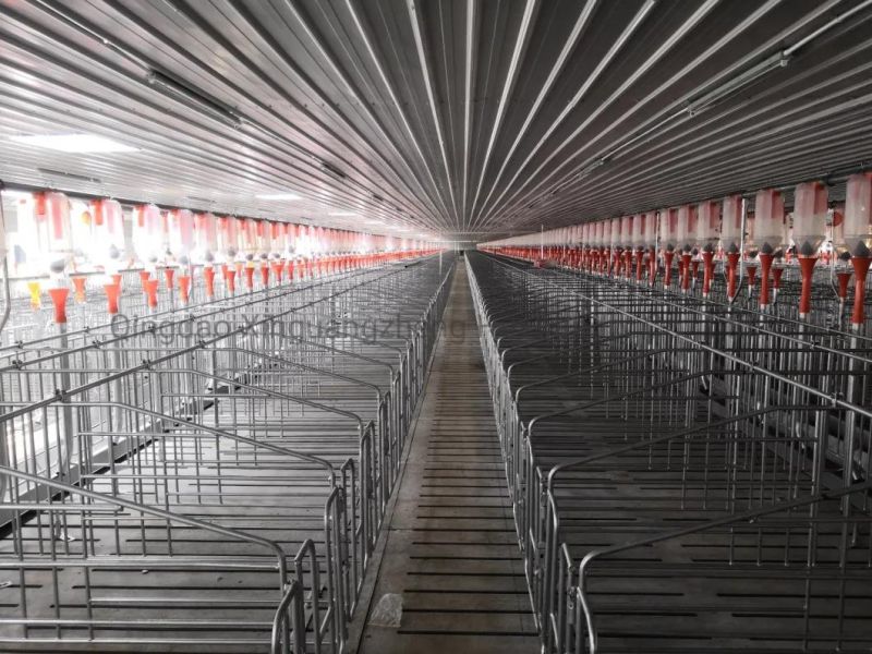 European Design Galvanized 1.8m*2.2m Pig Pen for Pig Breeding