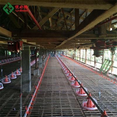Modern Chicken Farm in Kenya Automatic Poultry Equipment