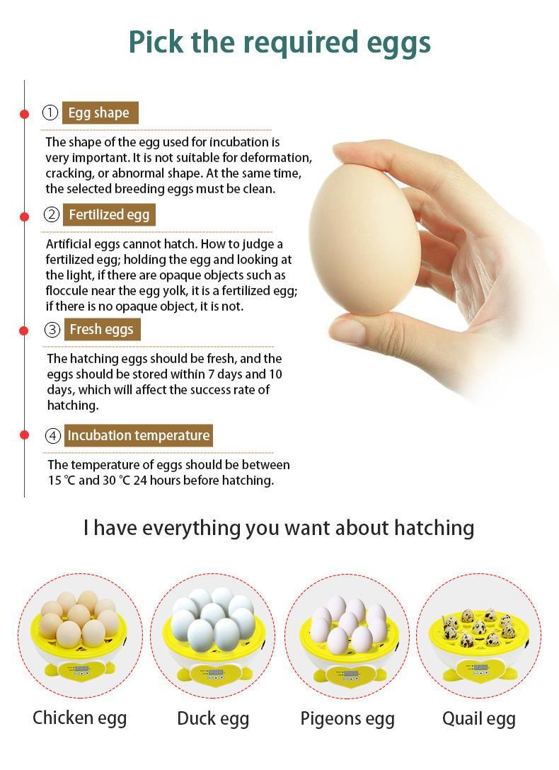 9 Eggs Incubators Poultry Hatcher Incubators Hatching Eggs Turkey Marketing Hot Key Chicken Power Bird Automatic Egg Incubator