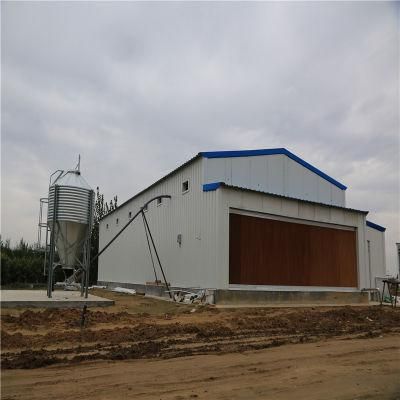 Long Usage Time Quality Full-Automatic Steel Egg Chicken House Equipment