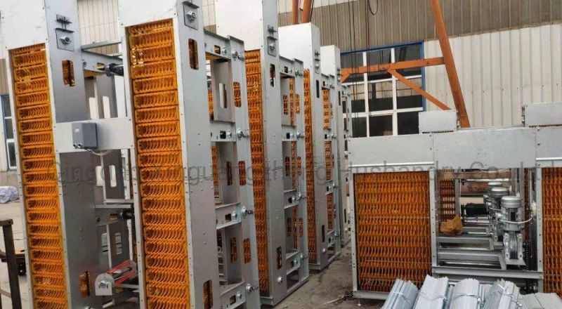 Low Cost Quail Cage with Automatic Egg Collecting Equipment