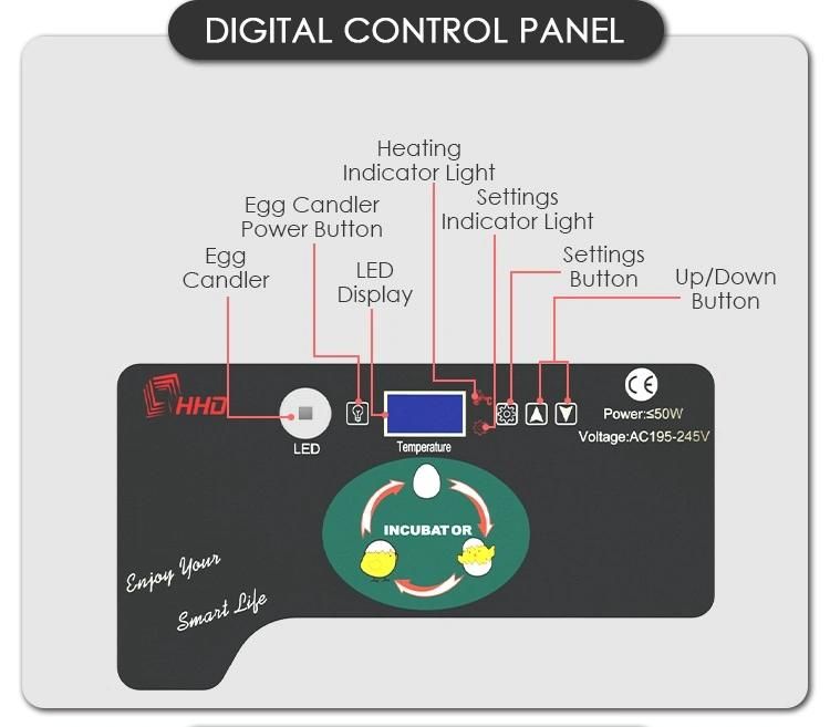Hhd Brand Updated Model Automatic Egg Turning Ew9-20 Incubator for Kids Tools