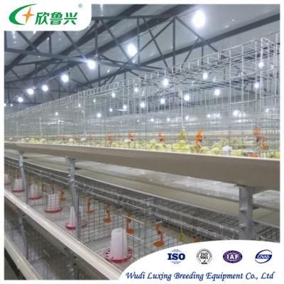 Chicken Egg Layer Automatic Galvanized H Type Battery Poultry Farm Cage