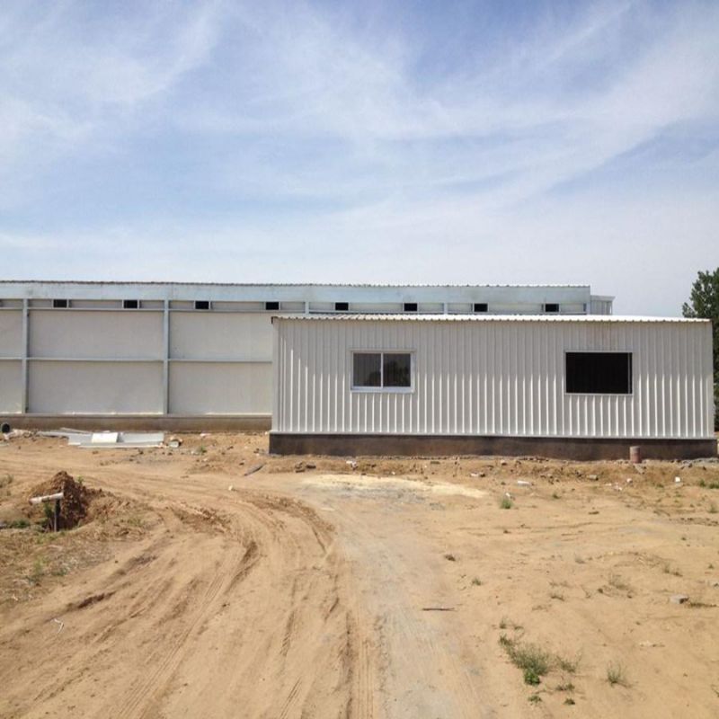 Prebab Automatic Steel Structure Poultry Farming House