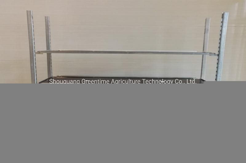 2022 Professional Customization Grow Rack Flood Ebb Rolling Bench Table in Greenhouse