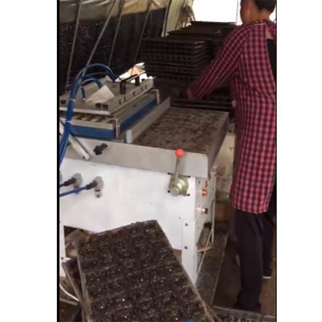 Efficient Automatic Plug Tray Seeder Machine High Quality Stainless Steel Plug Tray Seeder Machinery