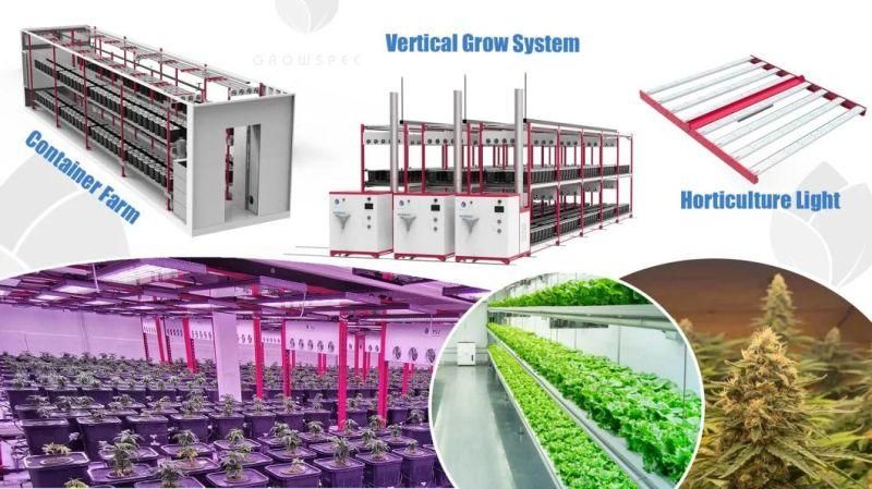 Advanced Indoor Greenhouse Vertical Dripping Irrigation Farming System