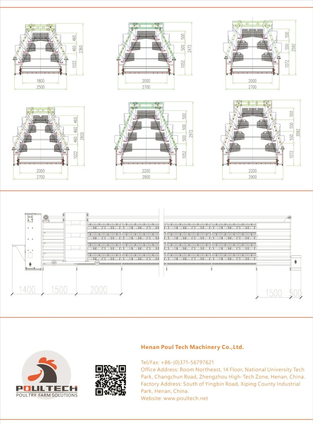 Hot Selling Type a Layer Cage Raising Equipment