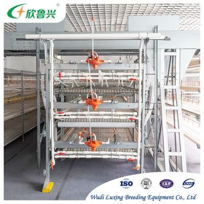 Automatic Nipple Drinking Line Broiler Nipple Drinker System for Poultry Farm