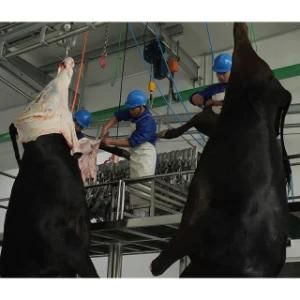 Cattle Slaughter Equipment Ritual Killing Box