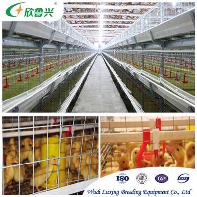 2021 Hot Dipped Galvanized Poultry Farm Battery Egg Layer Chicken Cage