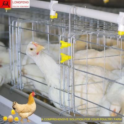Mature Design, Durable and Sturdy Farming a Type Poultry Equipment 9Ltd390/3120/4120/4160