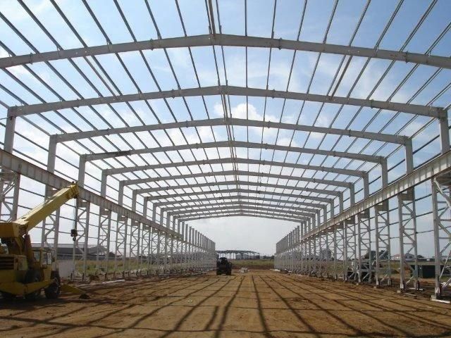 Philippine Free-Rage Broiler Chicken Steel Structure House