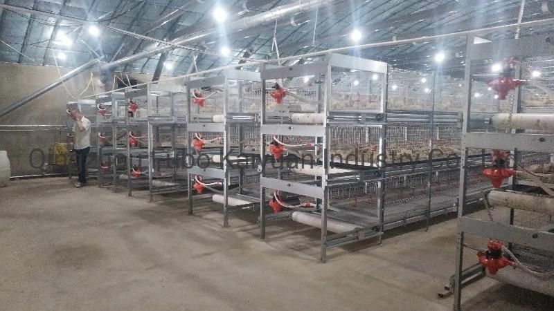 Poultry Cage Suppliers for Broiler/Chicken Layer/Egg Chicken Cage