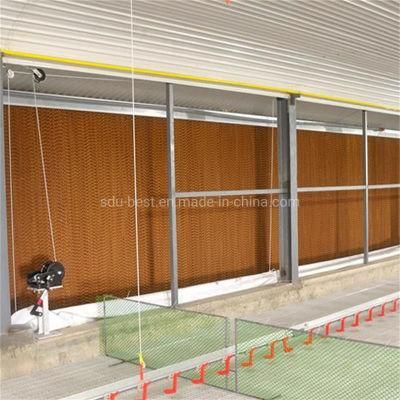 Low Cost Steel Structure Poultry House Chicken Farm Building Design