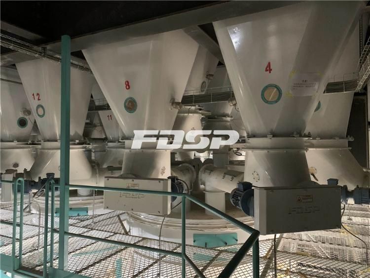 Large Capacity Animal Feed Processing Line Livestock Feed Production Line