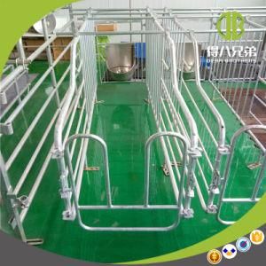 Qingdao Deba Customized Pig Equipment Gestation Crates for Sale