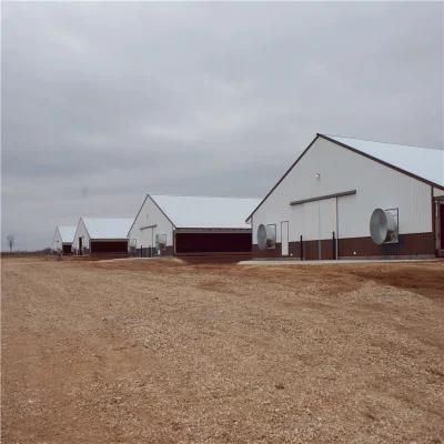 Easily Manage High Quality Low Cost Full-Set Chicken Feeding Farm