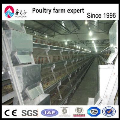 Hot Selling Africa Chicken Cage for Sale Automatic Chicken Layer Cage for Sale in Philippines