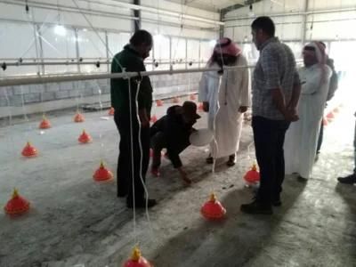 Automatic Bird-Harvesting Broiler Poultry Farm Equipment