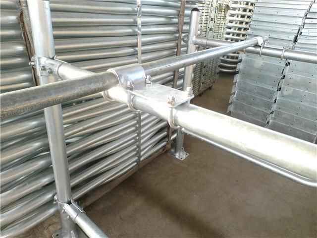 Cattle Livestock Divided Panels Cow Free Stall for Dairy Farm Equipment
