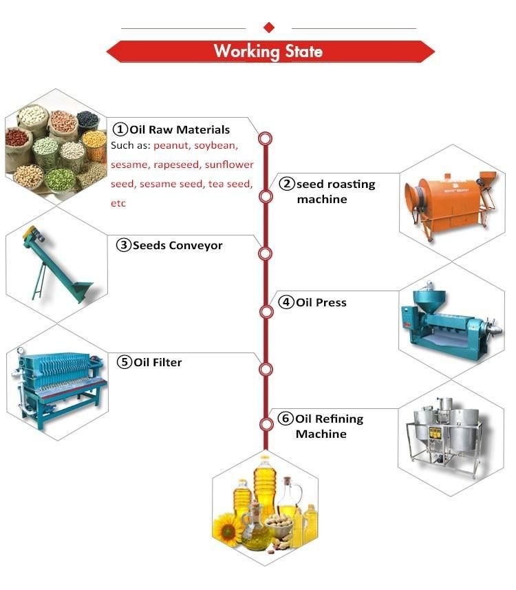 China Suppliers Automatic Groundnut Oil Press Machine for Sale