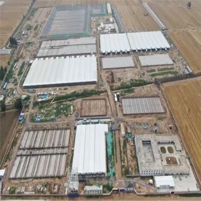 High Output One-Stopped Steel Structure Poultry Farm Equipment