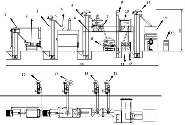 Paddy Rice Wheat Oats Seed Cleaning and Processing Plant