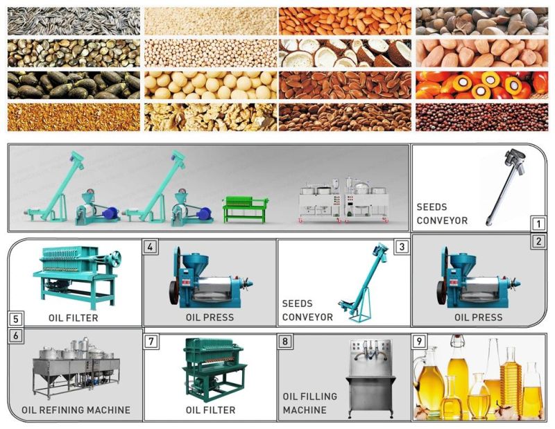 Medium-Sized Commercial Spiral Peanut Oil Press for Automatic Oilseed Rapeseed Oil Extraction Equipment