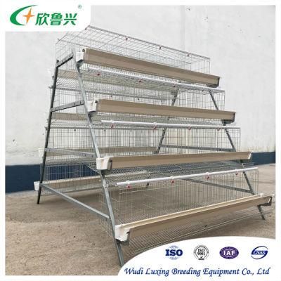 Automatic Chicken Egg Layer Cage Galvanized Weld Wire Laying Hen Cages High Quality Poultry Cage for Sale
