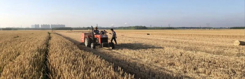 Manufacturer Farm Machineshay and Straw Baling Machine