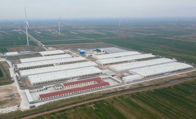 Plastic Slat Flooring Pig Farm Equipment