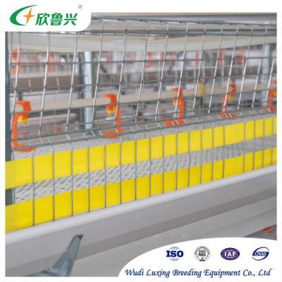 Laying Hen Farming Equipments Full Automatic H Type Chicken Battery Layer Poultry Cage for Sale